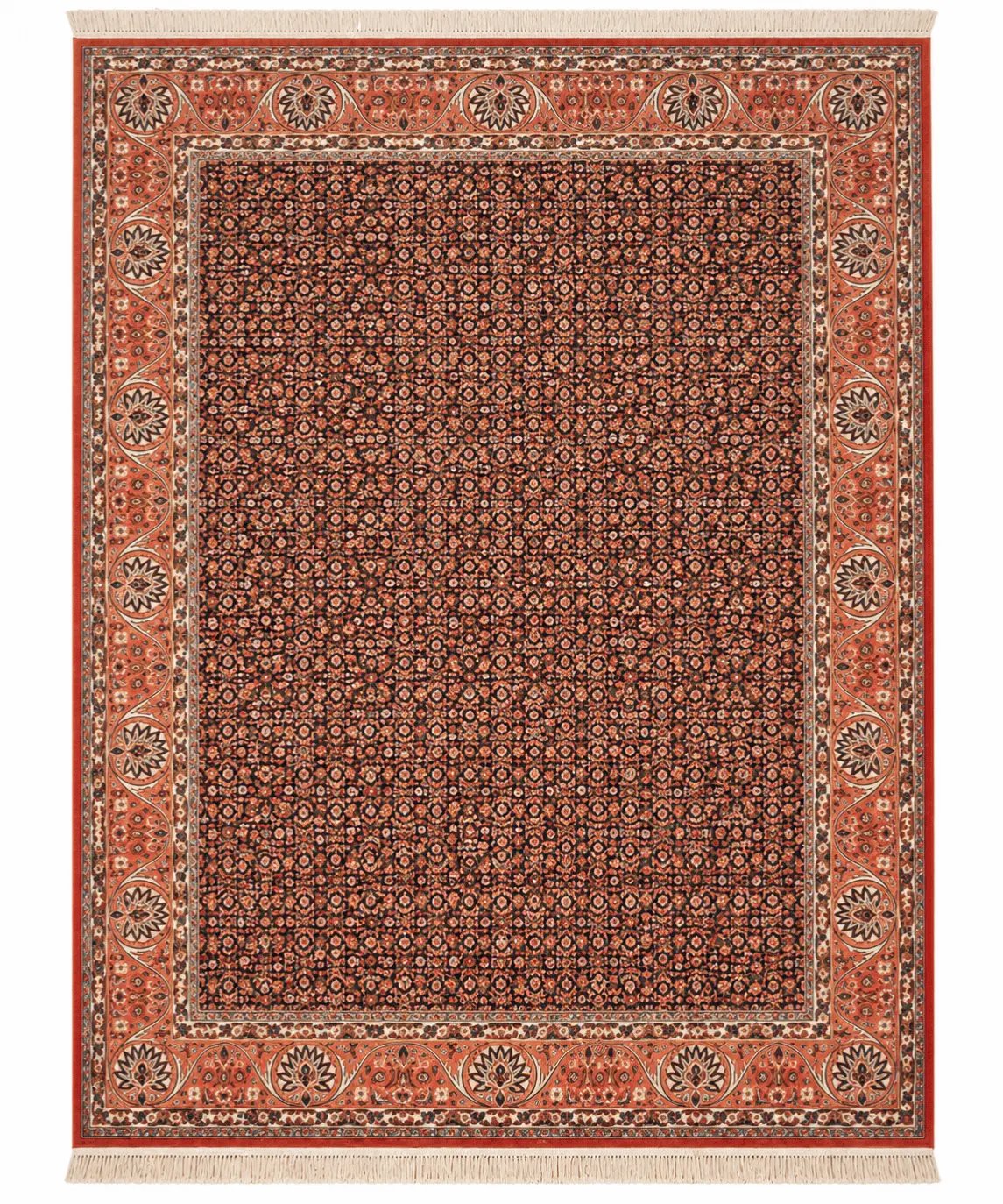 Bidjar Kork Wool Rug – 8'2" × 9'6"