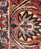 Bidjar Kork Wool Rug – 8'2" × 9'6" View 5