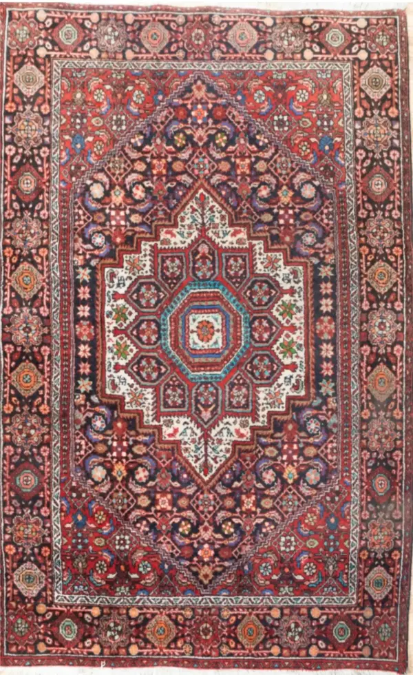 Bidjar Wool Rug 3.0x5.0