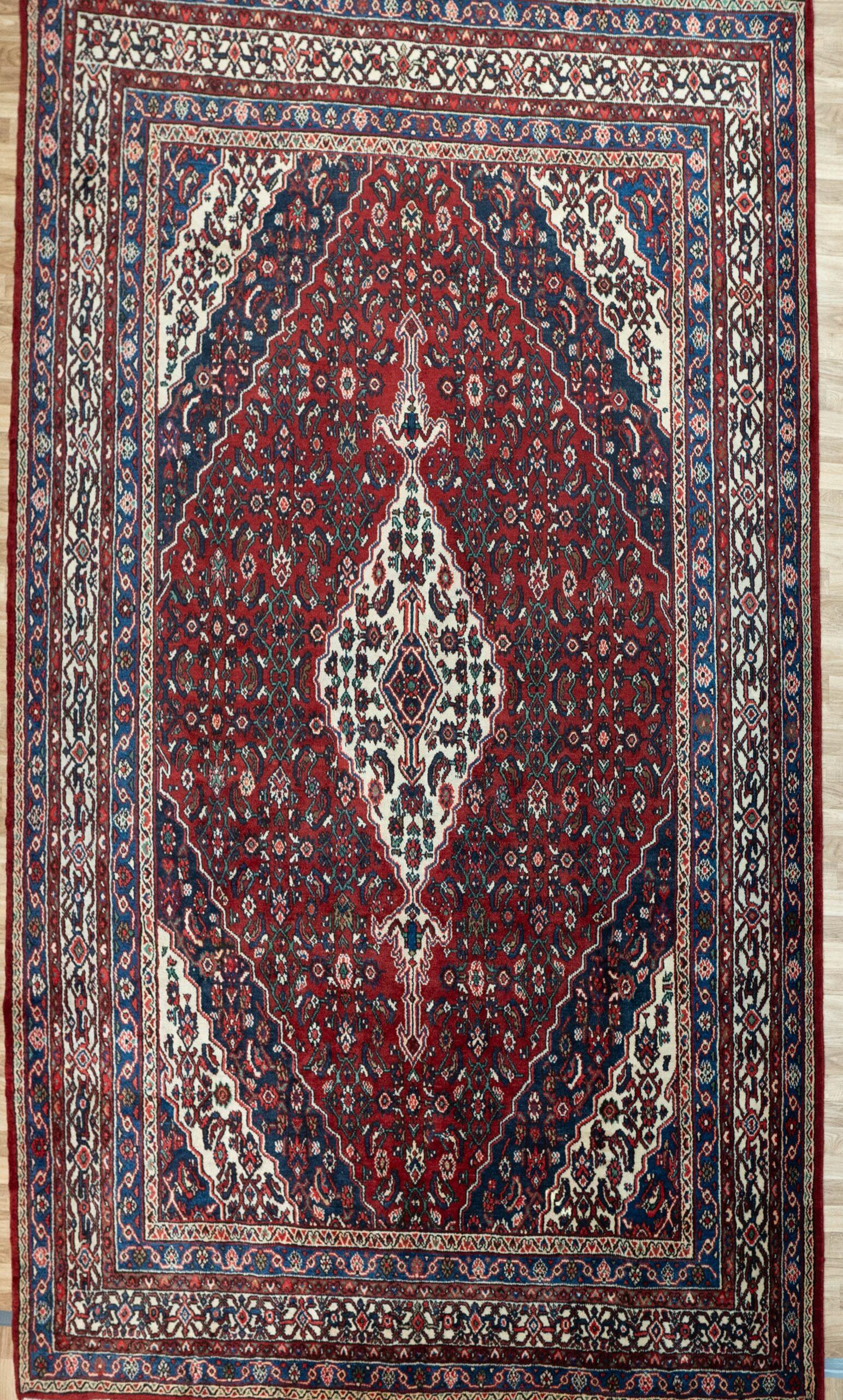 Hamadan Wool Rug 8.5'x11'