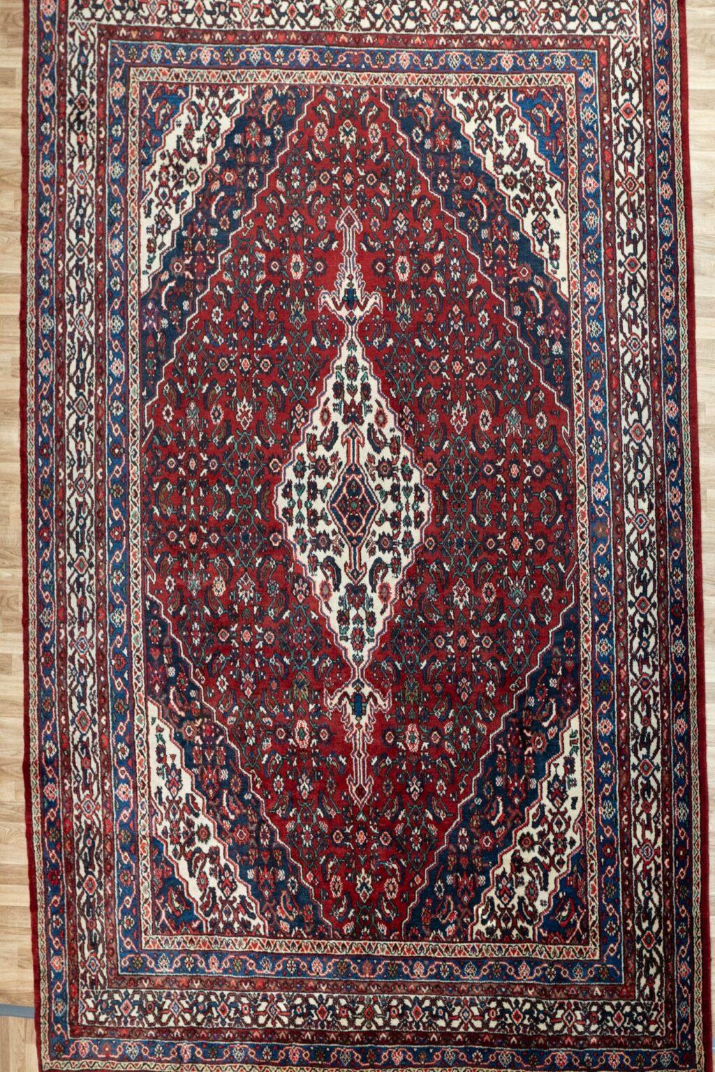 Hamadan Wool Rug 8.5'x11' View 3