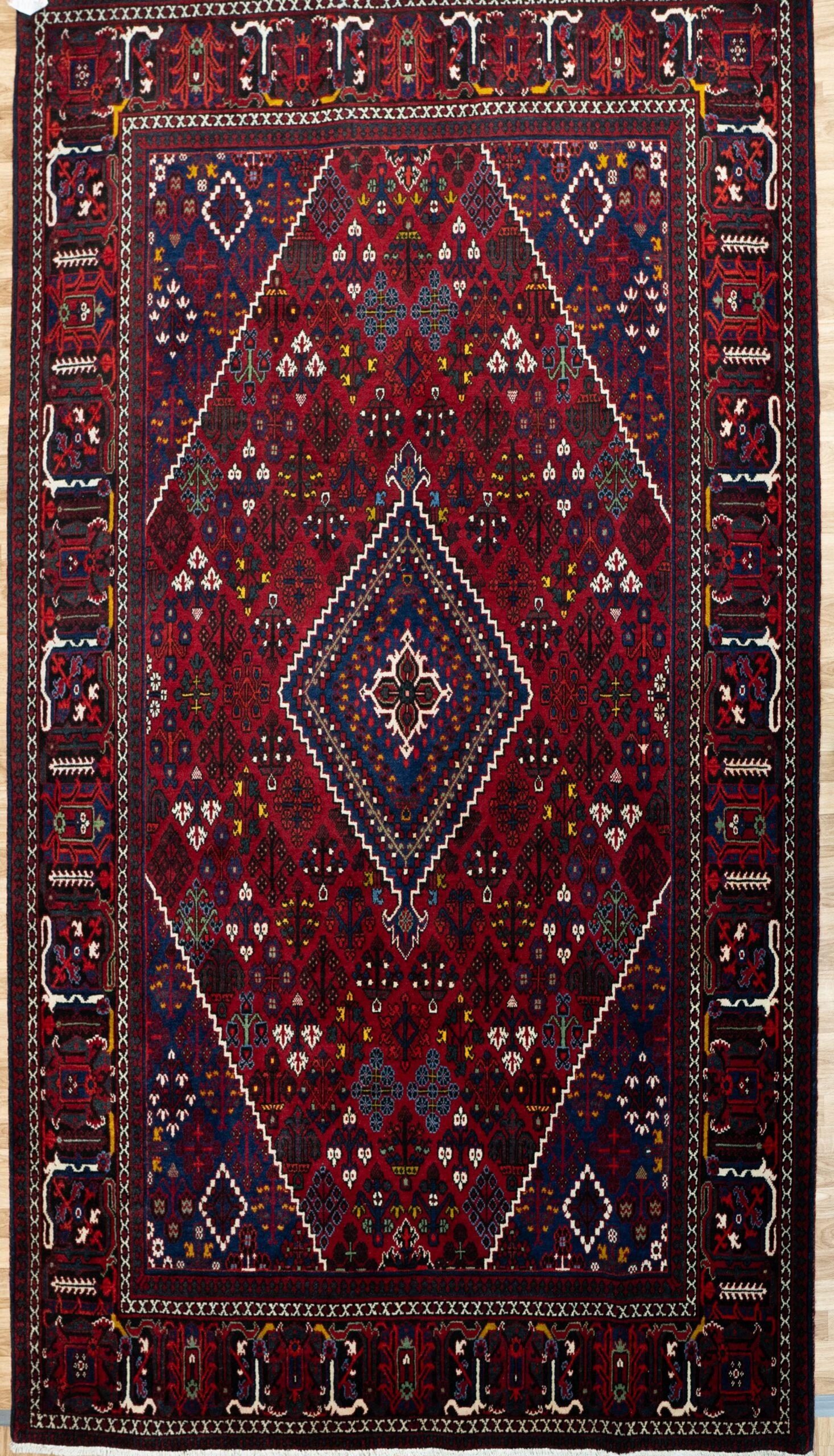 Joshghar Rug 7.0x10.0 View 1