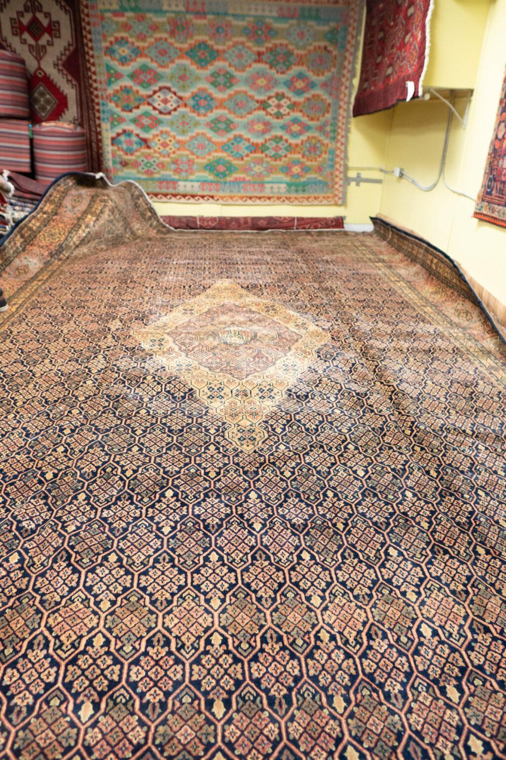 Hamadan Wool Rug 18.4x11.8 View 9