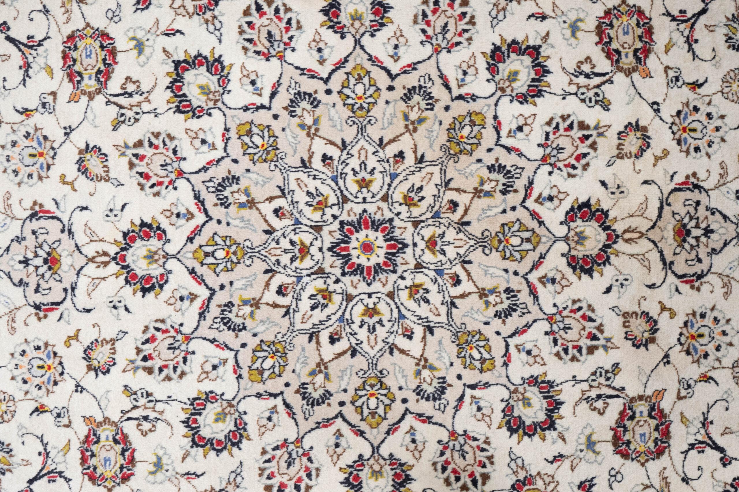 Kashamar Wool Rug 8.9x11.4 View 1