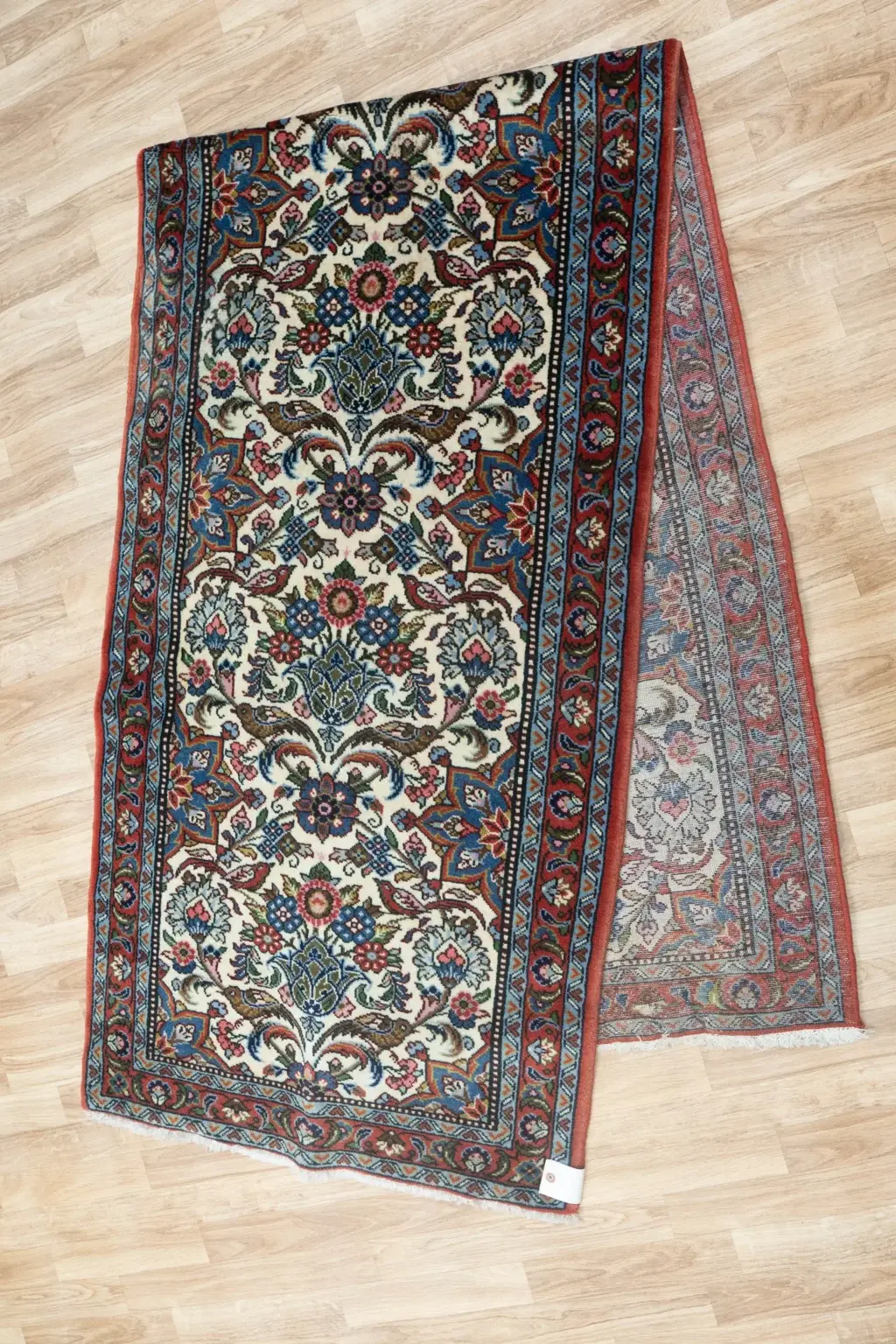 Shasvand 2.7 x 9.10' View 3