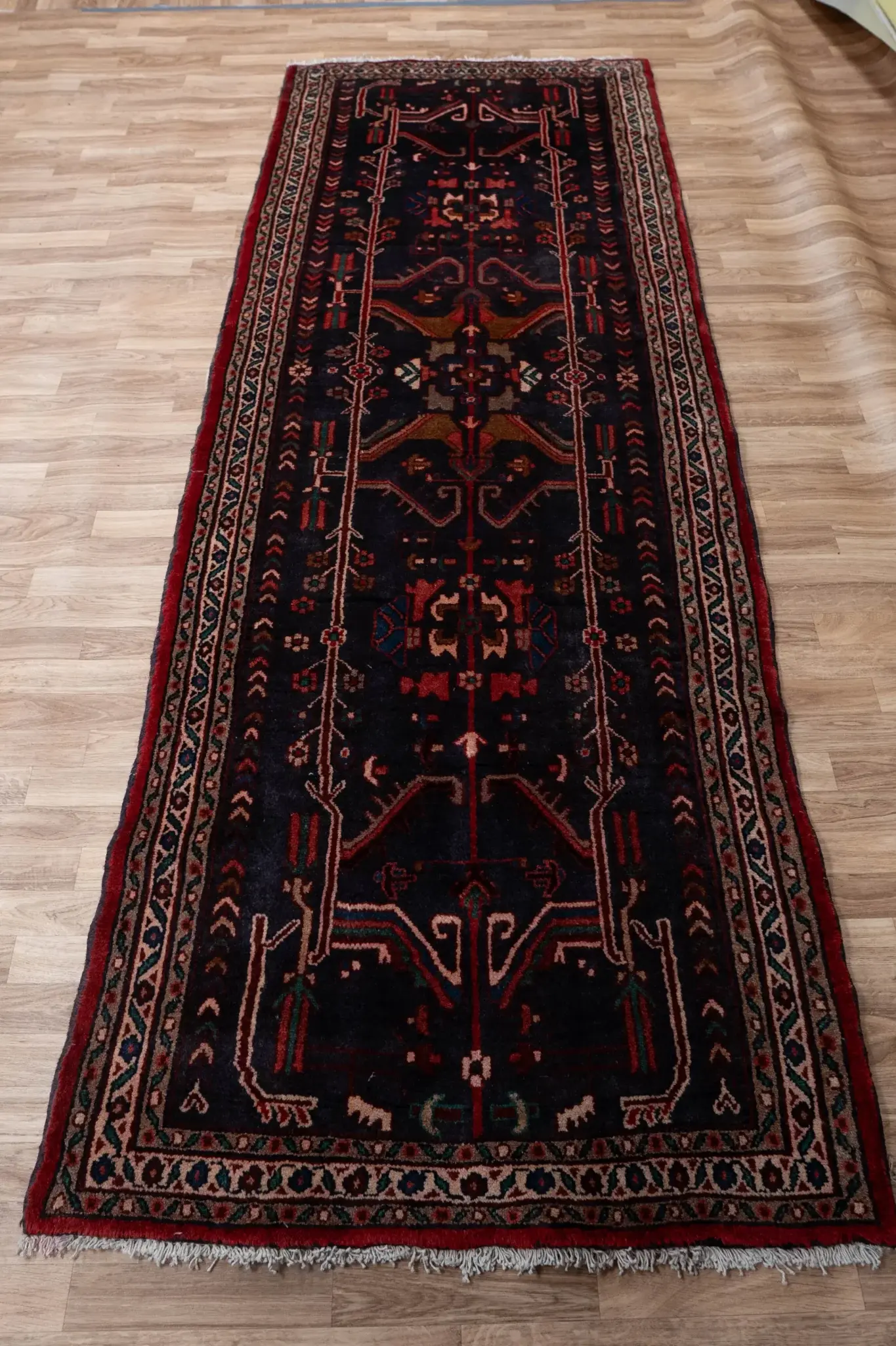 Hamadan Wool Rug 3.5 x 9.7 View 3
