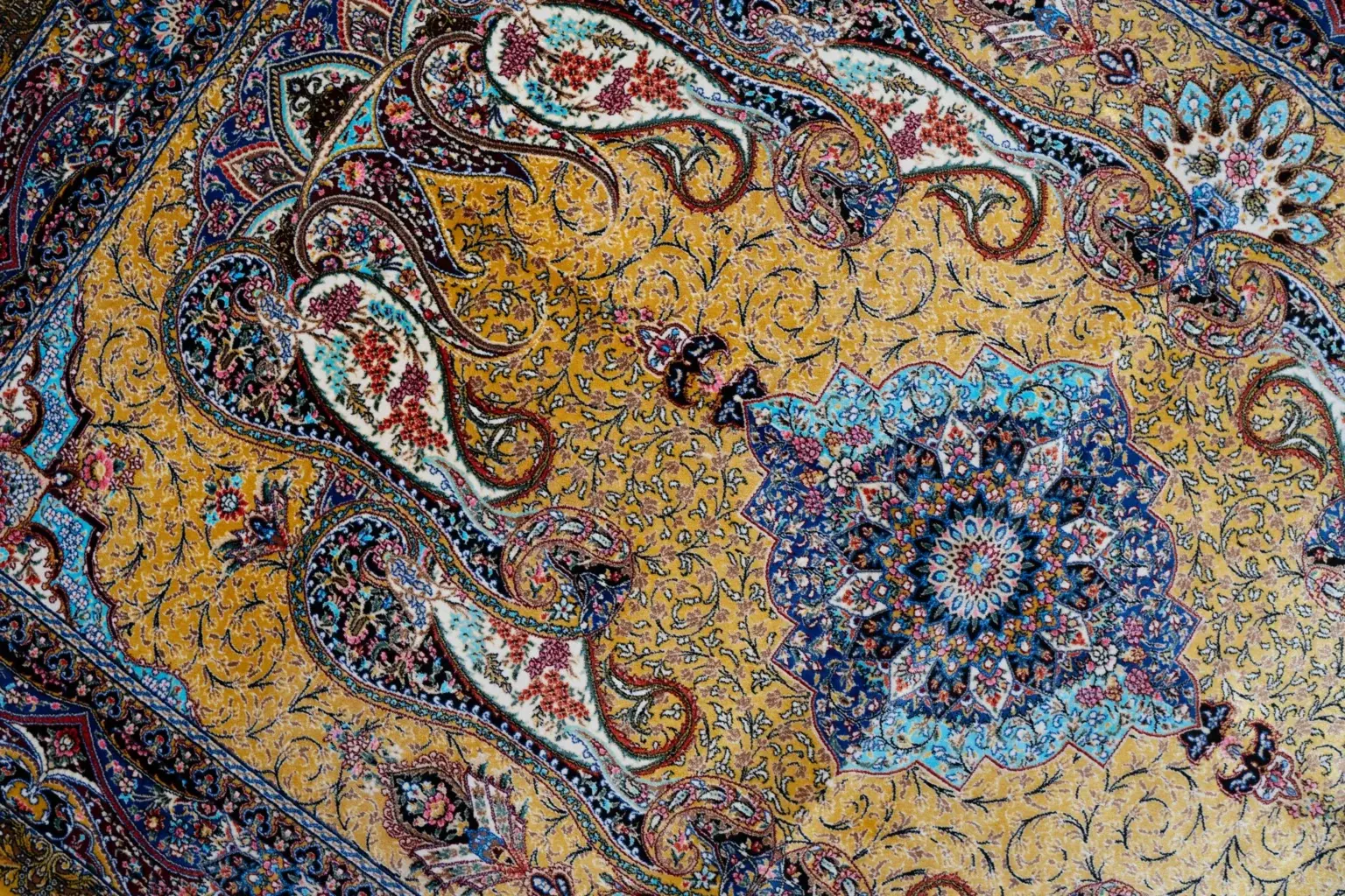 Qum Design Silk 2.0 × 5.0 View 2